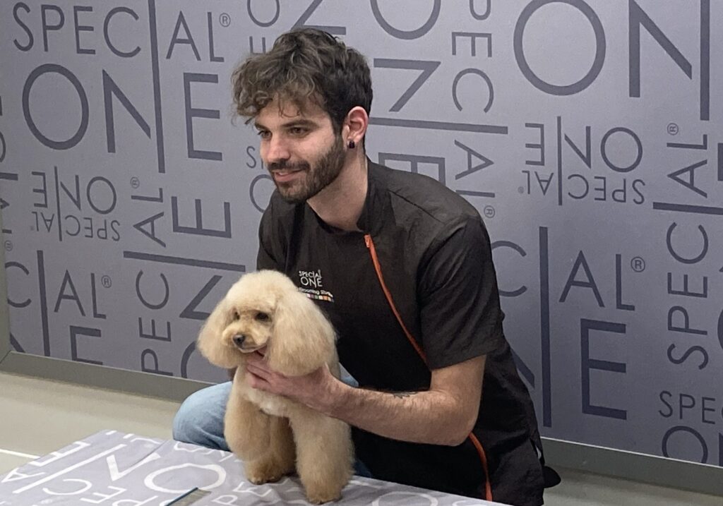 Tommaso Peruch — Toelettatore